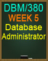 DBM/380 Database Administrator